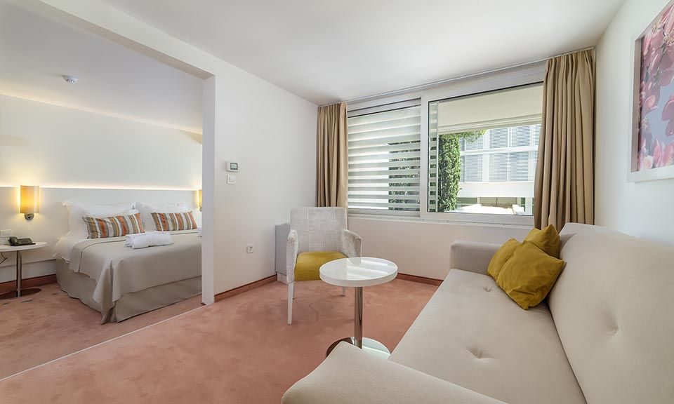Großes Doppelzimmer, 40 m² Parkblick, mit französischem Balkon-1