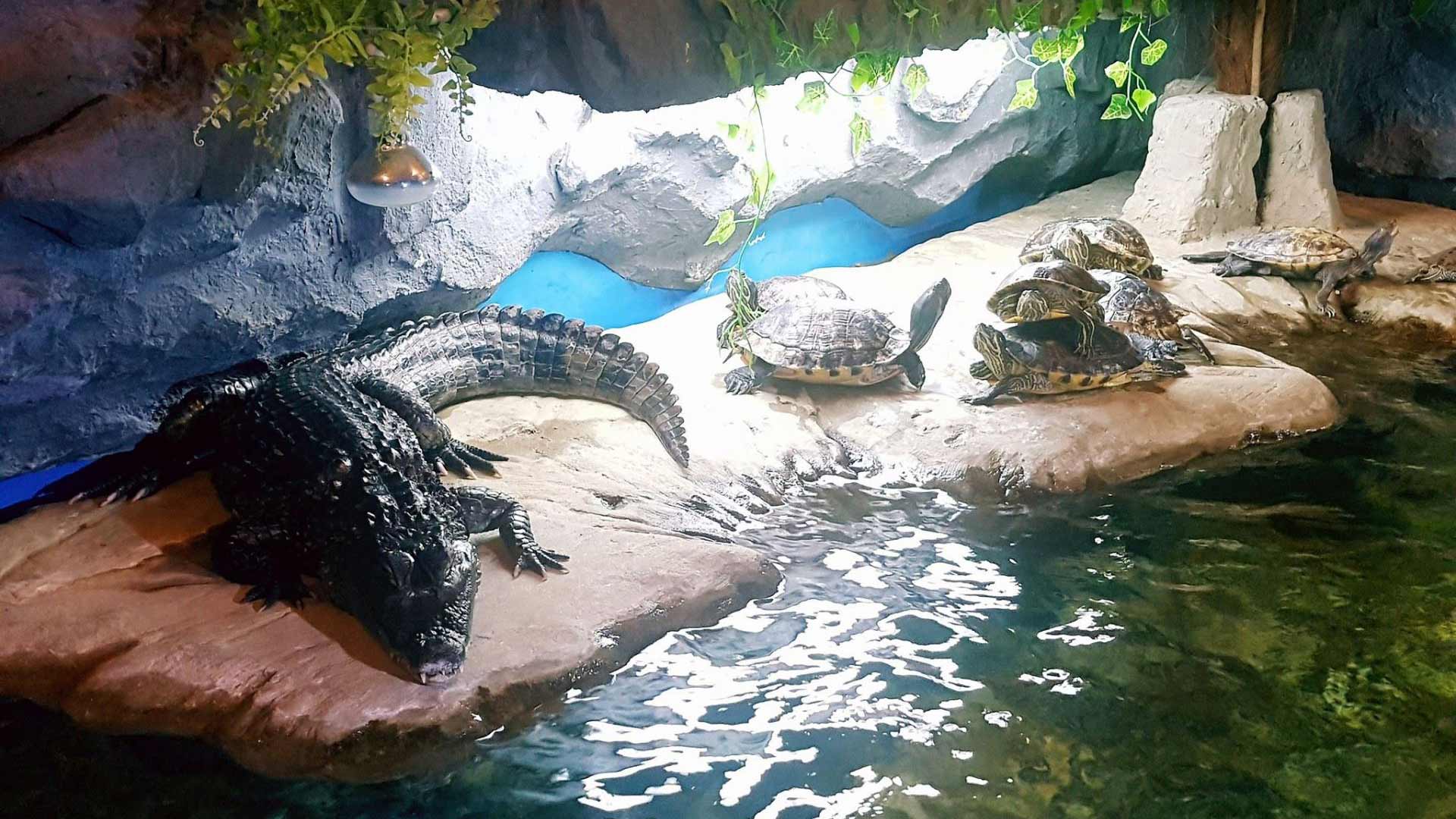 Aquarium Terrarium Šibenik Amadria Park Official 